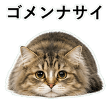 852352142