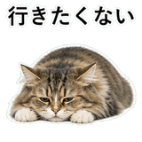 852352154