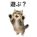 852352161