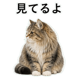 852352164