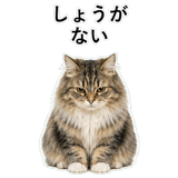 852352165
