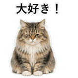 852352166