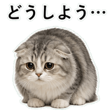 852352175