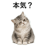 852352177