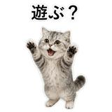 852352201