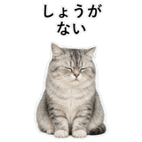 852352205