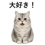 852352206