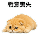852352251