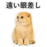 852352252