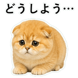 852352255