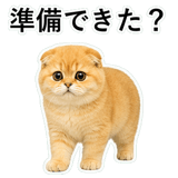 852352260