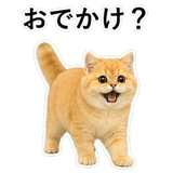 852352261
