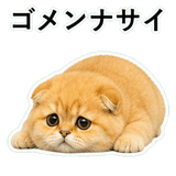 852352262