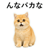852352267