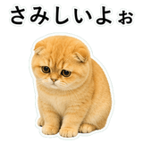 852352269