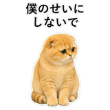 852352270