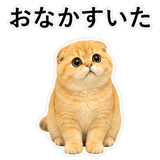 852352271