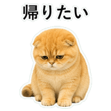 852352273