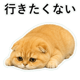 852352274