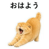 852352276