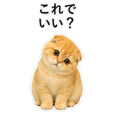852352280