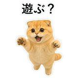 852352281
