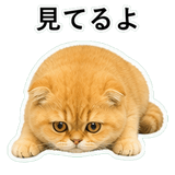 852352284
