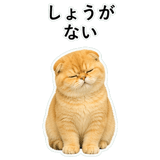 852352285