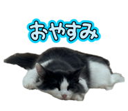 852354442