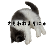852354448