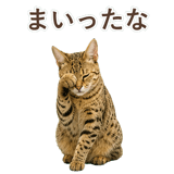 852354643