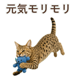 852354644