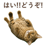 852354653