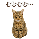 852354658
