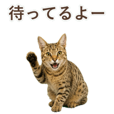 852354659