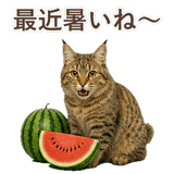 852354662