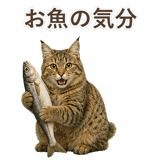 852354663
