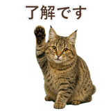 852354667
