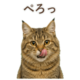 852354669