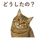852354670