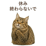 852354673