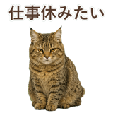 852354674