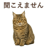 852354675