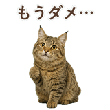 852354676