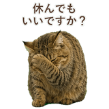 852354677
