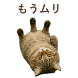 852354678