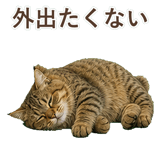 852354679