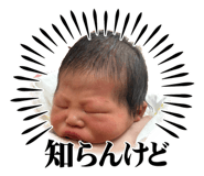 852354953