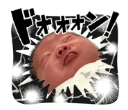 852354955