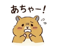 852355177